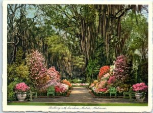 Postcard - Bellingrath Gardens, Mobile, Alabama