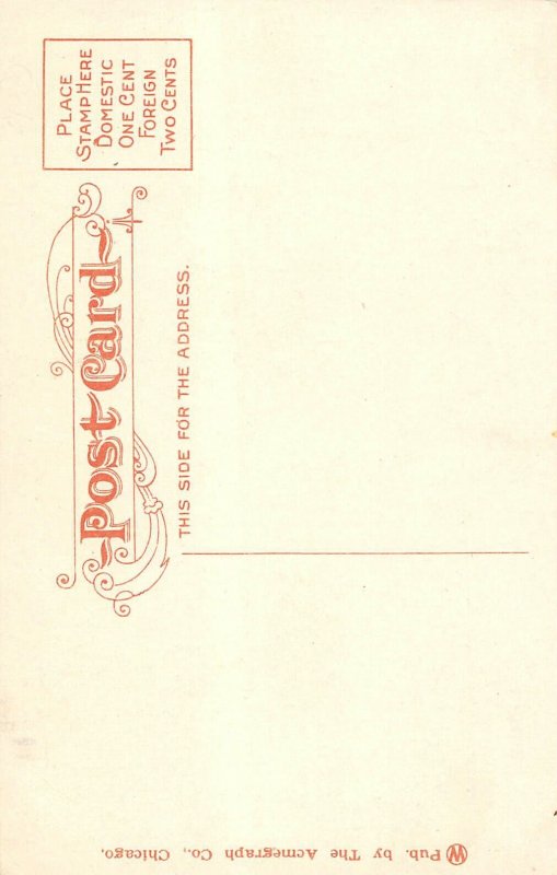 Carpenter Hotel Sioux Falls South Dakota 1910c postcard