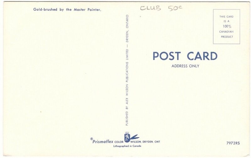 Autumn Scene In Canada, Vintage Chrome Postcard #3