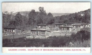 EQUINUNK, Pennsylvania PA~ Leghorn Avenue BROOKSIDE POULTRY YARDS 1900s Postcard