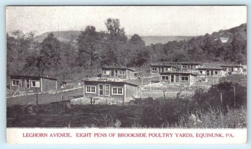 EQUINUNK, Pennsylvania PA~ Leghorn Avenue BROOKSIDE POULTRY YARDS 1900s Postcard 