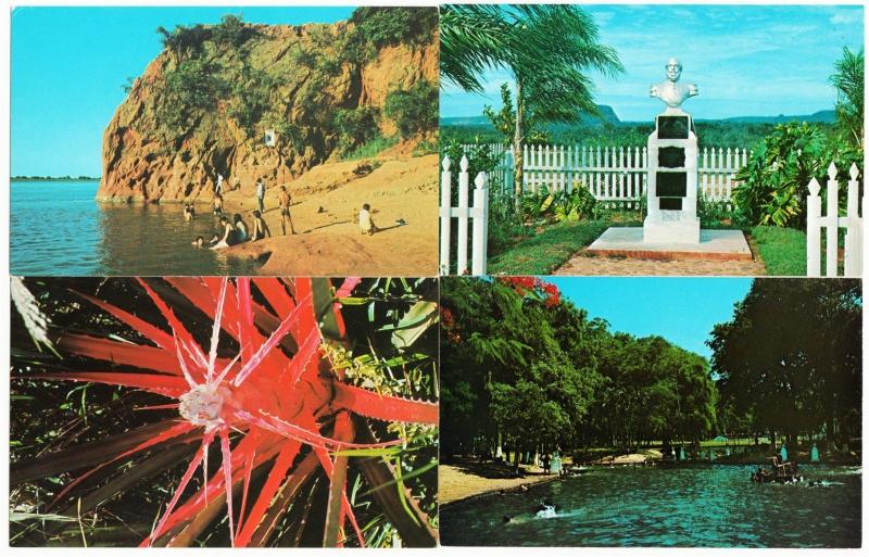 Paraguay Lot of 7 Postcards 1960s-1970s Asuncion Parrots Trees