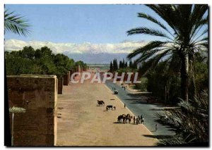 Postcard Modern Marrakech Ramparts And The Atlas