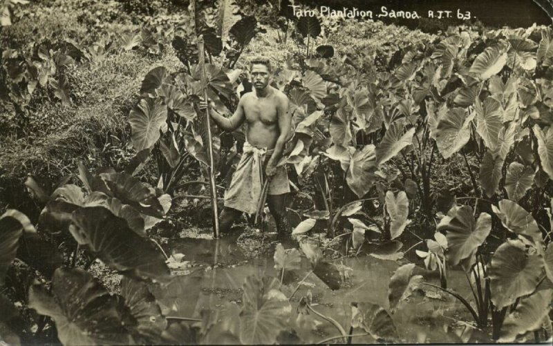 samoa, Native Man at Taro Plantation (1930s) RPPC