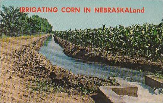 Nebraska Orchard Irrigating Corn In Nebraskaland