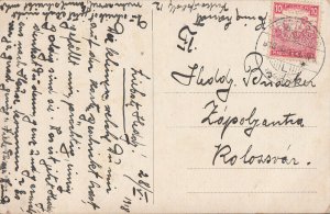 Still life with fruits c.1918 postcard