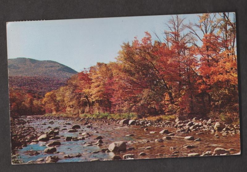 Rocky Riverbed & Forest Scene, ME - Used 1955