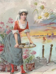 1893 Clarks ONT Thread National Flower Series Italy Lagoon & St. Mark, Venice 3L