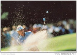 Pro Golfer On The Championship Course At Tanglewood Park North Carolina