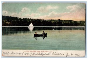 c1905 View on Silver Lake Canoeing Silver Lake New York Vintage Antique Postcard 
