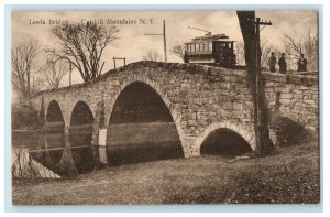 c1905 Leeds Bridge Trolley Catskill Mountains New York NY Antique Postcard