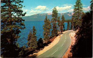 Roadside Scene Lake Tahoe Sierra Mountains Postcard VTG UNP Plastichrome Vintage 
