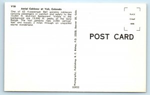 VAIL SKI AREA, CO Colorado ~ AERIAL CABLE CAR c1950s Eagle County Postcard