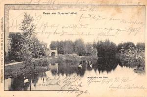 Speckenbuttel Bremen Germany Gruss aus swans on lake antique pc Y13849