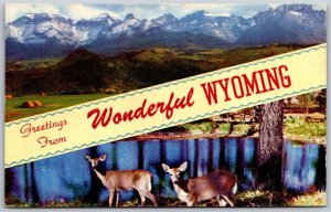 Vtg Greetings from Wonderful Wyoming Dual View Deer 1950s Postcard