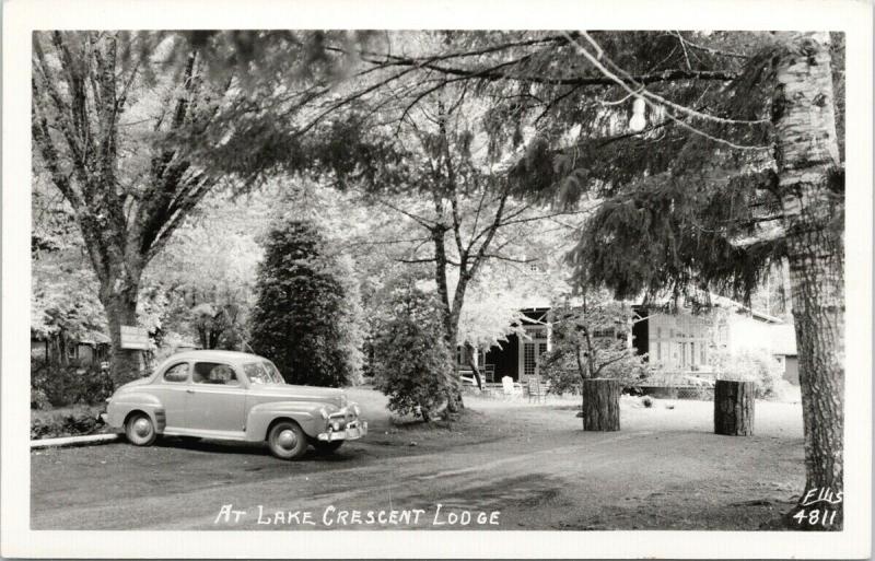 At Lake Crescent Lodge WA Washington UNUSED Ellis 4811 RPPC Postcard E50