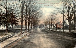 Kingston New York Albany Avenue Tree Lined Street c1900-20s Vintage Postcard