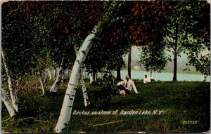 Birches on Shore of Burden Lake NY c1911 Vintage Postcard V60