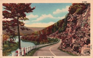 Vintage Postcard 1920's Riverside Road Near Indiana Pennsylvania PA Trees Nature
