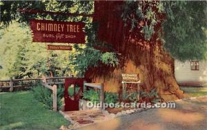 Chimney Tree Redwood Highway, California, USA Logging, Timber Unused 