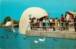 Postcard 1950s Indiana Indianapolis White Whale Zoo George Washington IN24 -3506