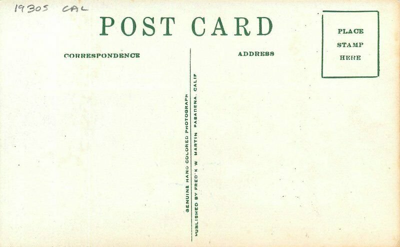 California 1930s Thousand Palms Hand Colored Martin Postcard 22-1878