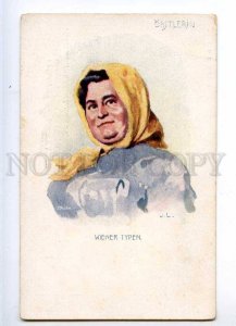 227070 AUSTRIA WIENER TYPEN Obstlerin fruit Lerin OLD postcard