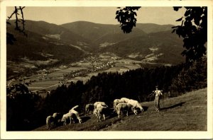 RPPC Sheep Flock Shepherd Boy Yugoslavia 1951 Real Photo Postcard