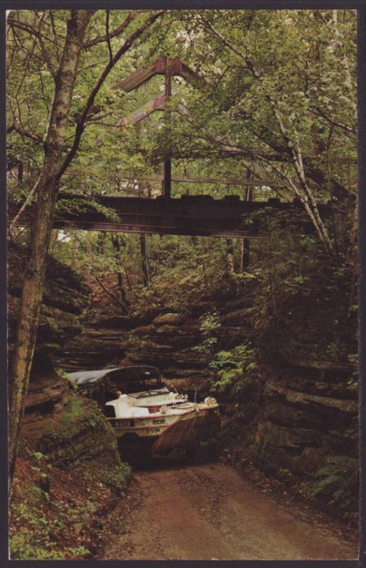 Duck,Red Bird Gorge,Wisconsin Dells,WI Postcard