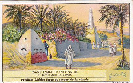 Liebig Trade Card s1307 Undiscovered Arabia No 1 Jardin dans le Yemen