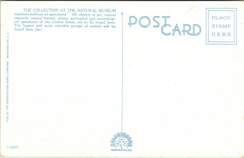 National Museum Washington, D.C. linen postcard