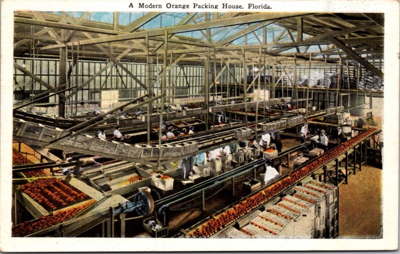 Postcard The Interior of a Modern Orange Packing House, Florida