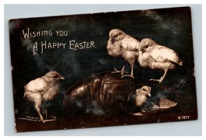 Vintage 1907 RPPC Easter Postcard Cute Chicks in Old Leather Shoe