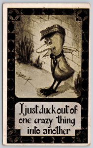 Artist Signed Cobb Shinn Comic Pun~Fantasy Dressed Duck~c1910 Postcard
