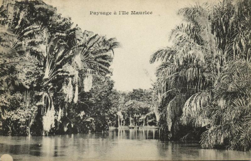 mauritius, Paysage, Landscape (1899) Messageries Maritimes