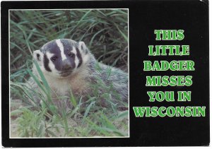 US  Unused.  Wisconsin - State Animal, Badger.   Very Nice