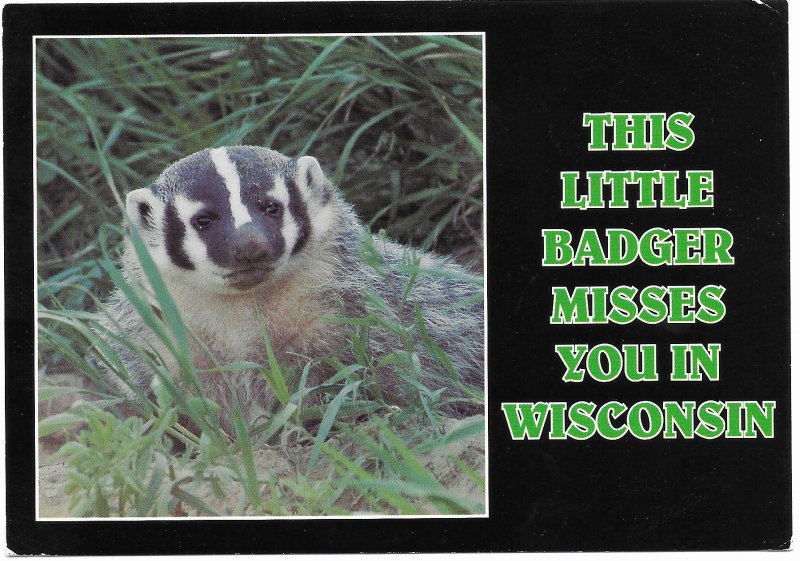 US  Unused.  Wisconsin - State Animal, Badger.   Very Nice