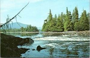 Postcard CAN British Columbia - Butze Rapids