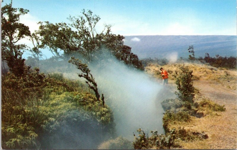 Hawaii Volcanoes National Park Postcard 1960s Kilauea Mauna Loa HQ