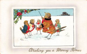 Christmas Greeting Humanized Songbirds Singing in Choir Holy Tree postcard B920