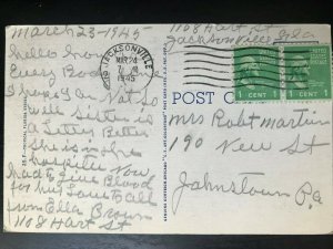 Vintage Postcard 1945 Avenue of Australian Pines & Hibiscus Florida 