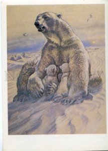 152926 Red List USSR Polar Bear Ursus maritimus Old Rus PC