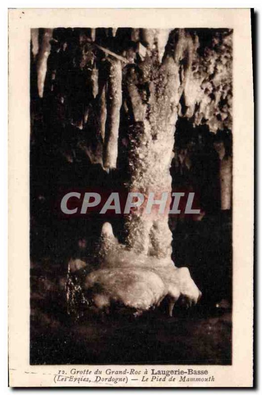 Postcard Old Grand Roc Cave has Laugerie Lower Les Eyzies Dordogne foot Mammoth