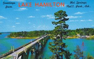 Arkansas Hot Springs Greetings From Lake Hamilton