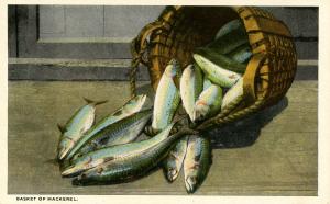 Fish - Basket of Mackerel