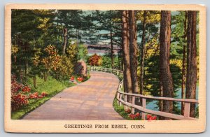 Essex Connecticut~Greetings~Winding Forest Road By River~PM 1939 Linen Postcard