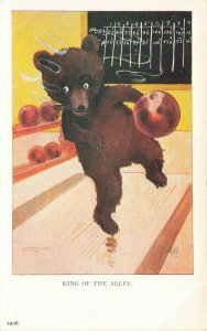 King Of The Alley Sporty Bears Set Ullman Postcard