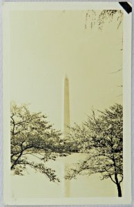 Two Small Trees Shadow Washington Monument, Washington D.C. - Vintage Postcard