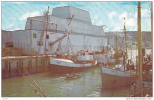 RIVIERE AU RENARD (Fox River), Draggers Unloading Catch, Quebec, Canada, PU-1969