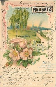 1906 Wien Vienna Austria Gruss Aus Switzerland undivided postcard 3520